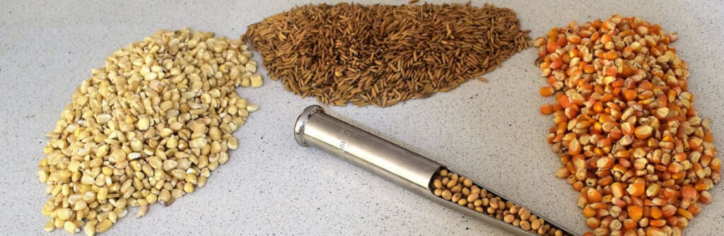 About | Collaborative Seed Programme