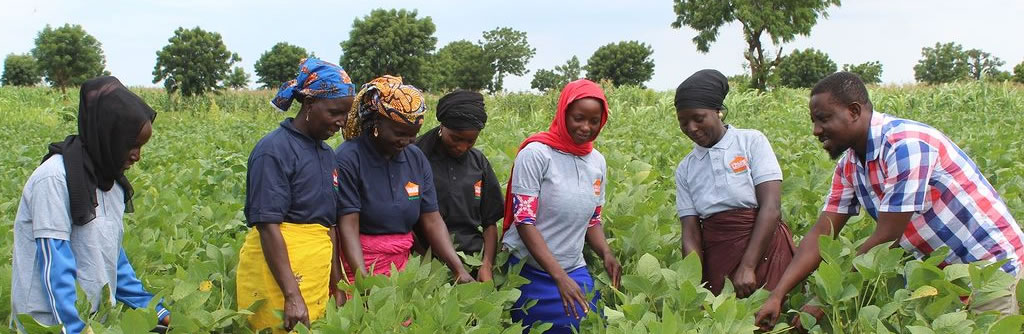 Donor Alignment Report | Collaborative Seed Programme