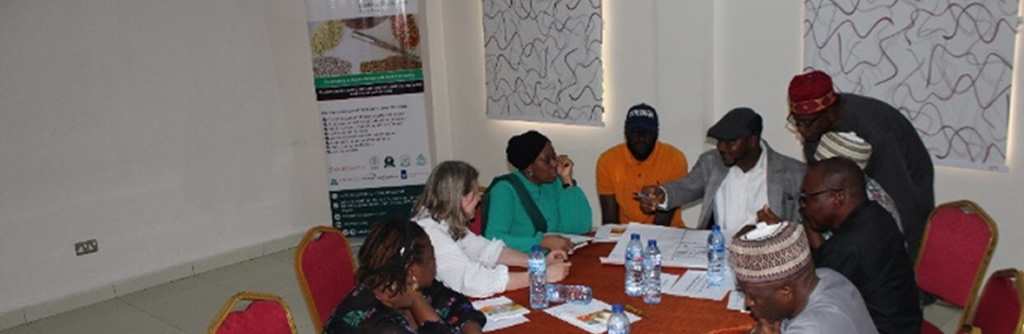Exploring Institutional Seed Market and Seed Subsidy Dynamics: Updates ...