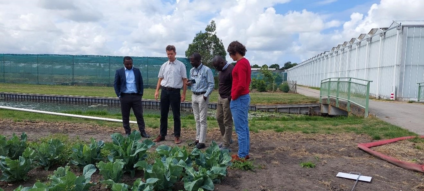 Study visit to explore relevance of Dutch seed certification models for ...