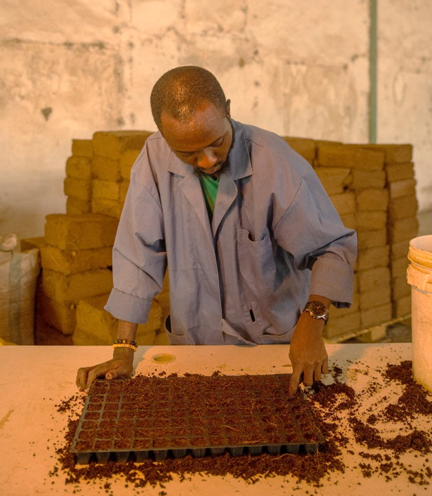 Unlocking the potential of Nigerian Seed Entrepreneurs: Insights from ...