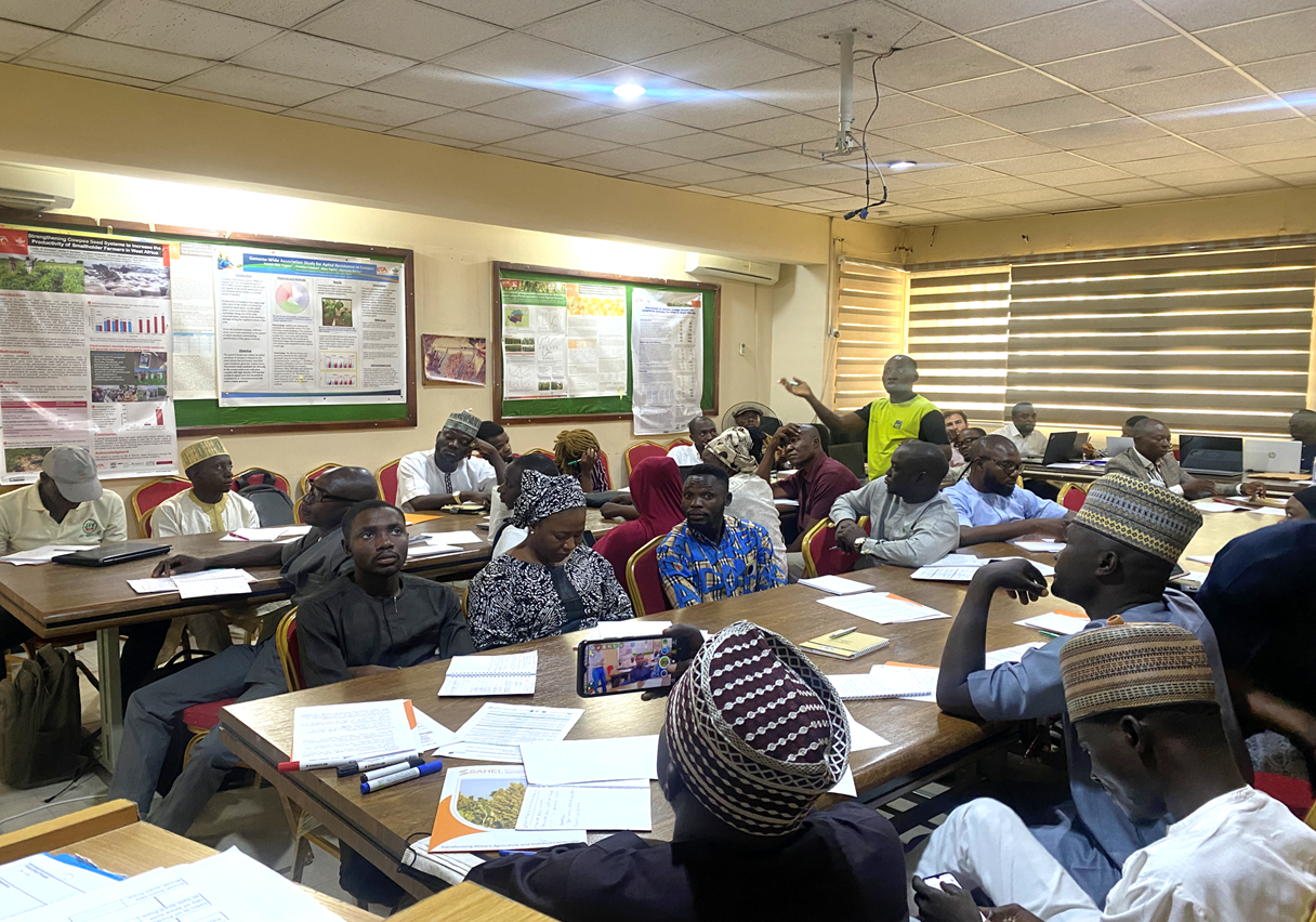 Managing seed business for profitability, impact and growth ...