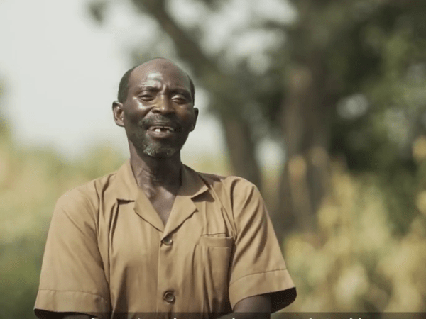 Video: Innovations to promote farmers’ use of quality seed for vegetables in Northern&nbsp;Nigeria